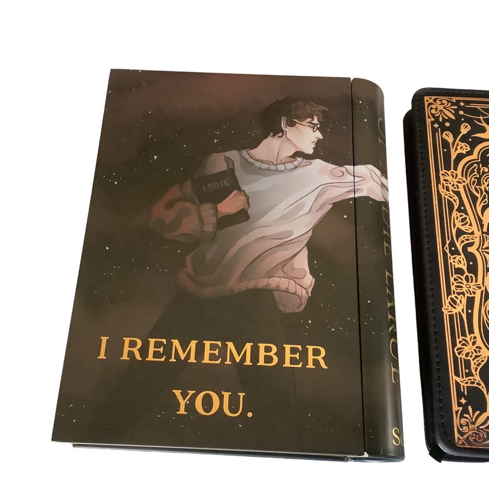 The Invisible Life of Addie Larue Lot Tin Notebook Album Fabric Bin - Picture 10 of 15